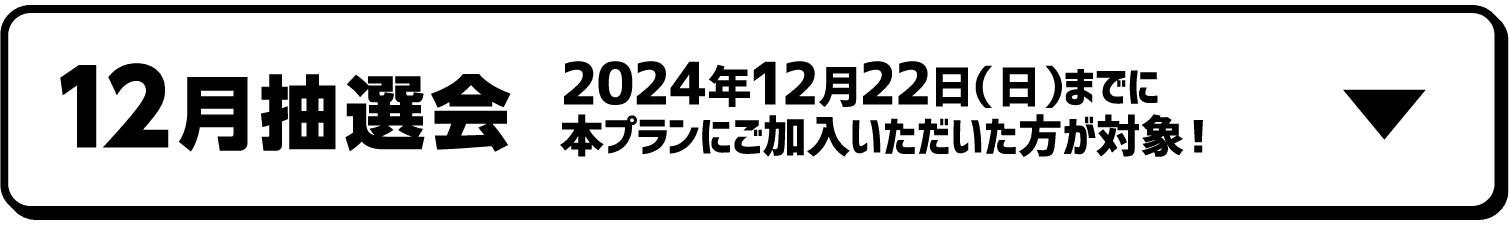 12月抽選会｜2024年12月22日（日）までに本プランにご加入いただいた方が対象！