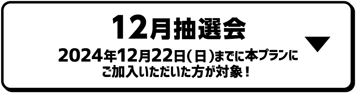 12月抽選会｜2024年12月22日（日）までに本プランにご加入いただいた方が対象！