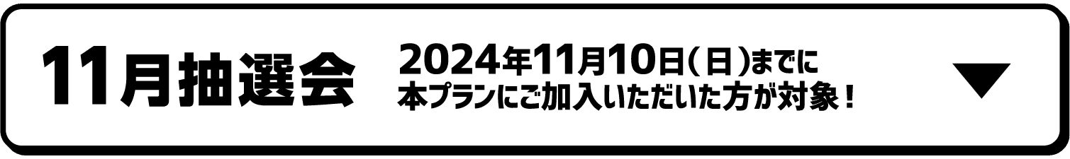 11月抽選会｜2024年11月10日（日）までに本プランにご加入いただいた方が対象！