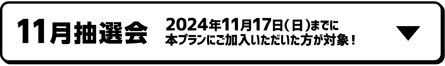 11月抽選会｜2024年11月17日（日）までに本プランにご加入いただいた方が対象！