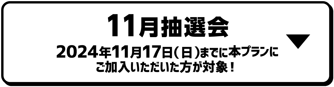 11月抽選会｜2024年11月17日（日）までに本プランにご加入いただいた方が対象！