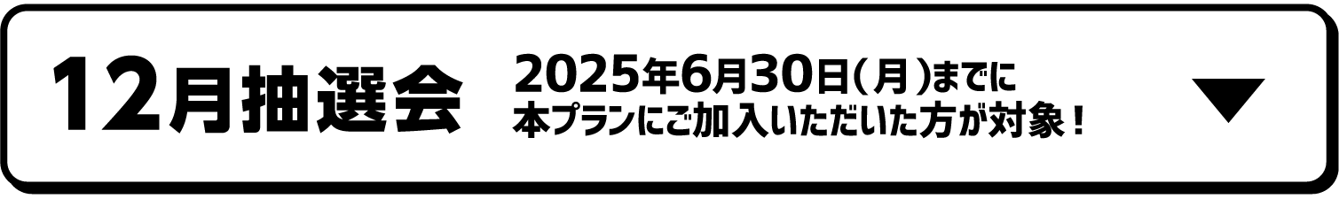 12月抽選会｜2025年6月30日（月）までに本プランにご加入いただいた方が対象！