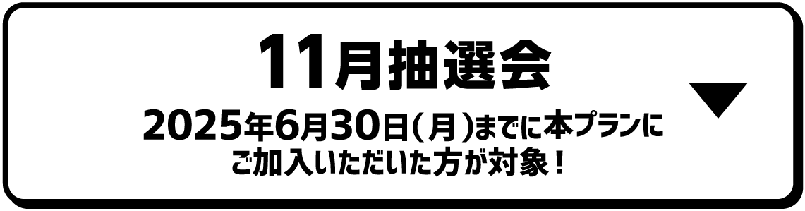11月抽選会｜2025年6月30日（月）までに本プランにご加入いただいた方が対象！