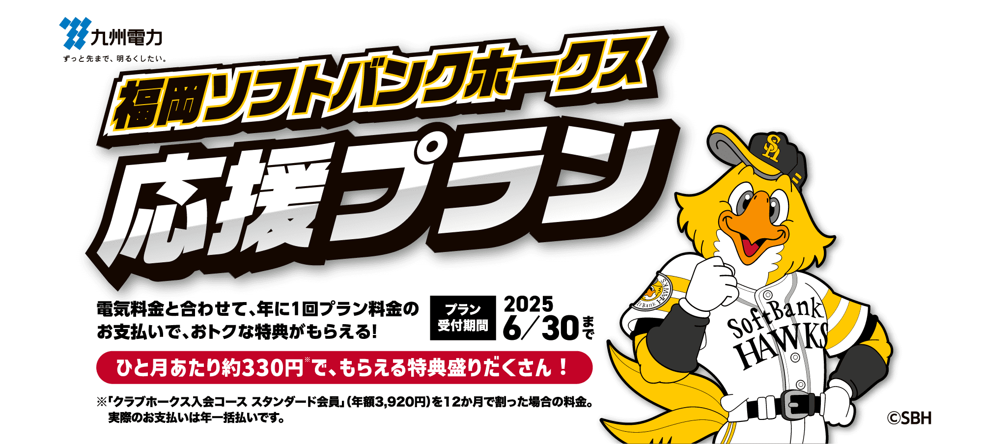 九州電力｜福岡ソフトバンクホークス応援プラン｜電気料金と合わせて、年に１回プラン料金のお支払いで、おトクな特典がもらえる！｜プラン受付期間：2025 6/30まで｜ひと月あたり約330円※で、もらえる特典盛りだくさん！｜※「クラブホークス入会コース スタンダード会員」（年額3,920円）を12か月で割った場合の料金。 実際のお支払いは年一括払いです。｜©SBH