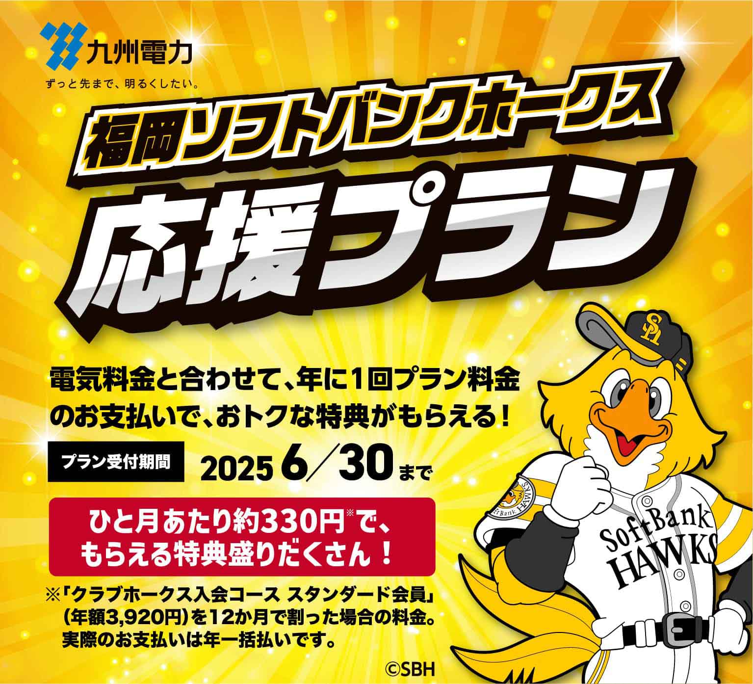 九州電力｜福岡ソフトバンクホークス応援プラン｜電気料金と合わせて、年に１回プラン料金のお支払いで、おトクな特典がもらえる！｜プラン受付期間：2025 6/30まで｜ひと月あたり約330円※で、もらえる特典盛りだくさん！｜※「クラブホークス入会コース スタンダード会員」（年額3,920円）を12か月で割った場合の料金。 実際のお支払いは年一括払いです。｜©SBH